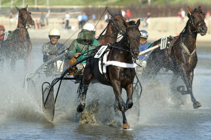 2238509835_bd7eddeecc_b